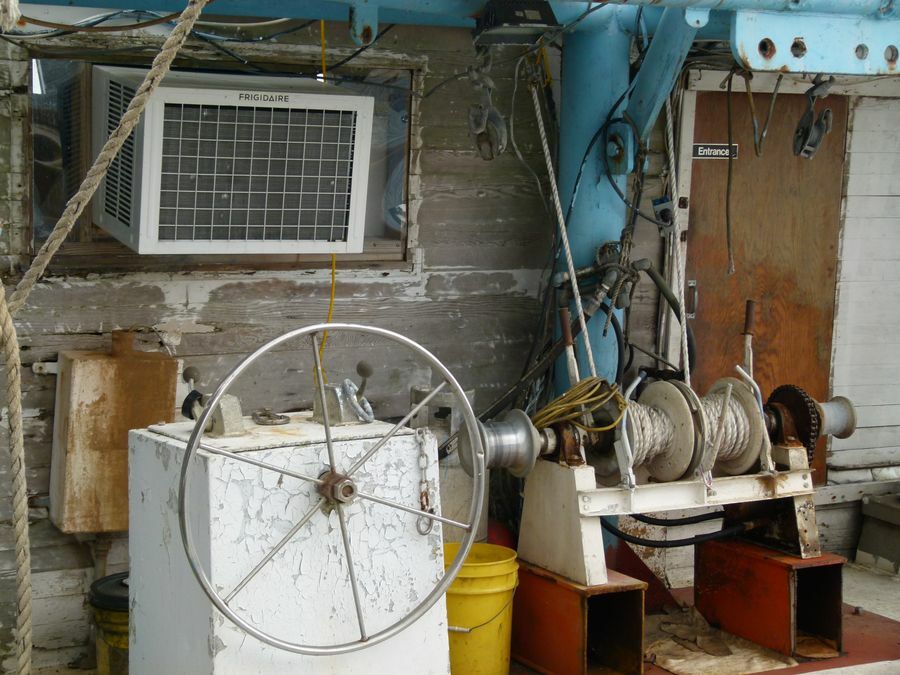 Click to See Next Image