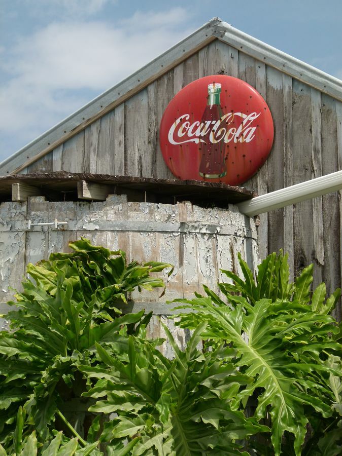 Click to See Next Image