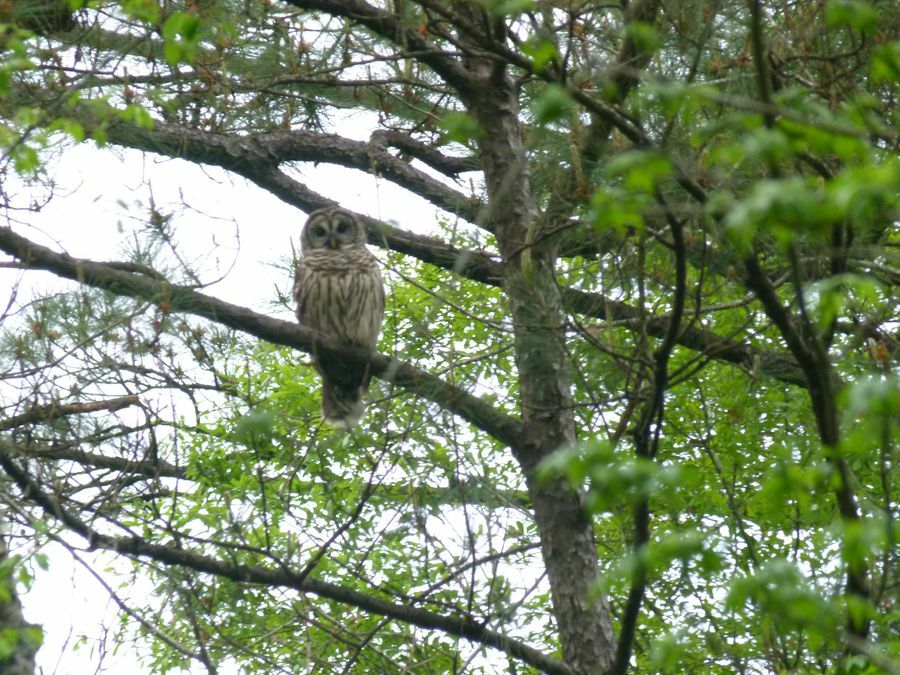 Click to See Next Image