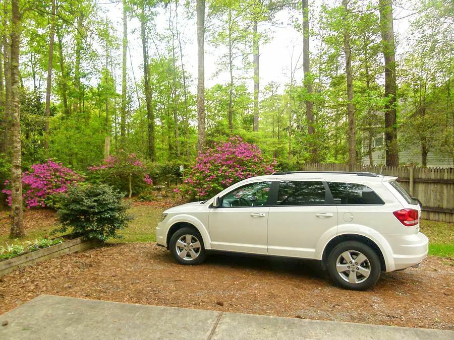 Click to See Next Image