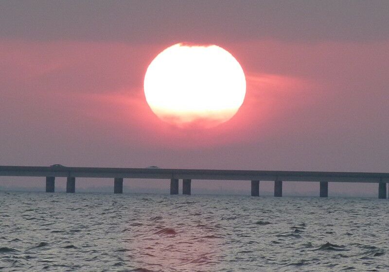 Click to See Next Image