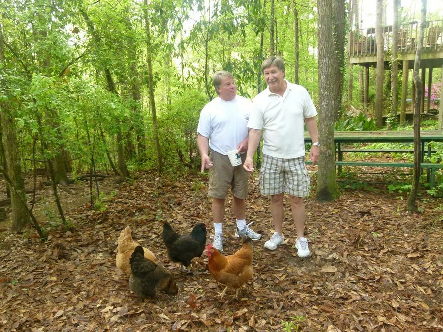 Click to See Next Image