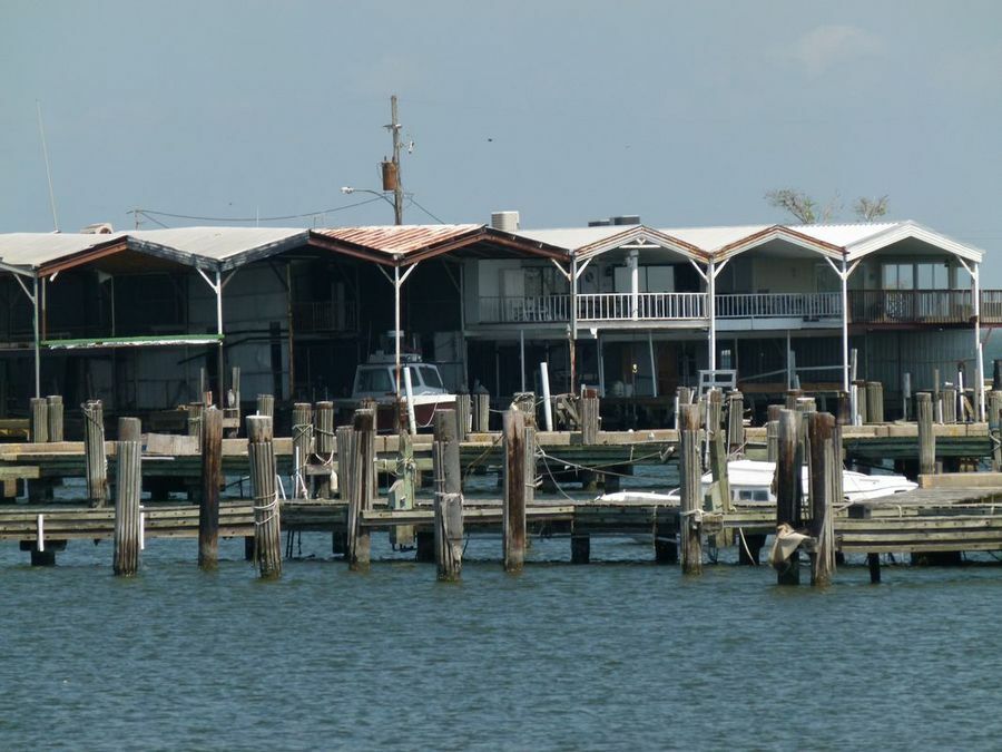 Click to See Next Image