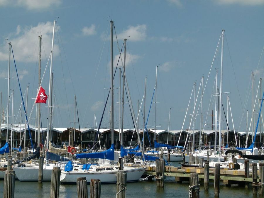 Click to See Next Image