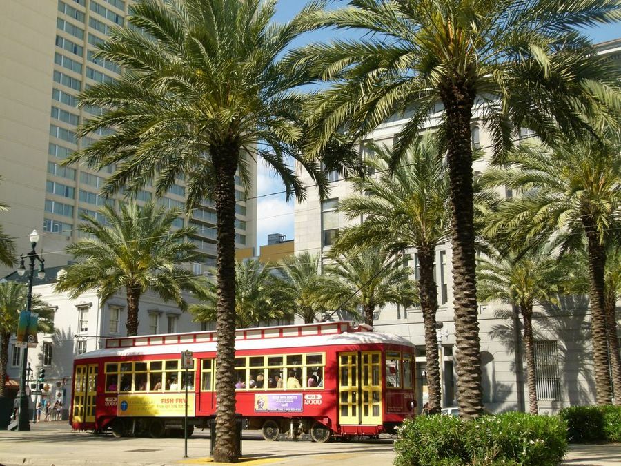 Click to See Next Image