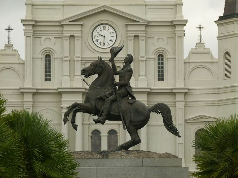 Click to See Next Image