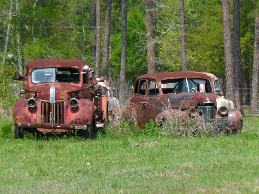 Click to See Next Image