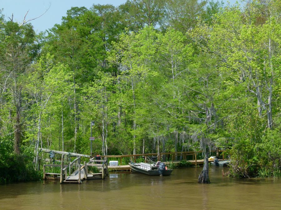 Click to See Next Image