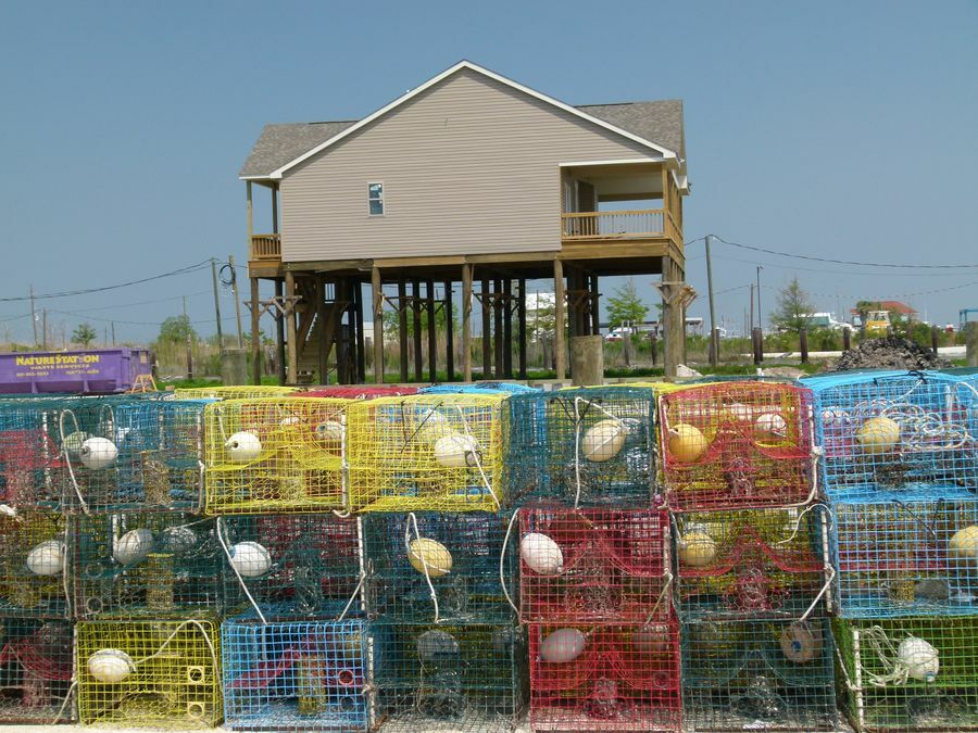 Click to See Next Image