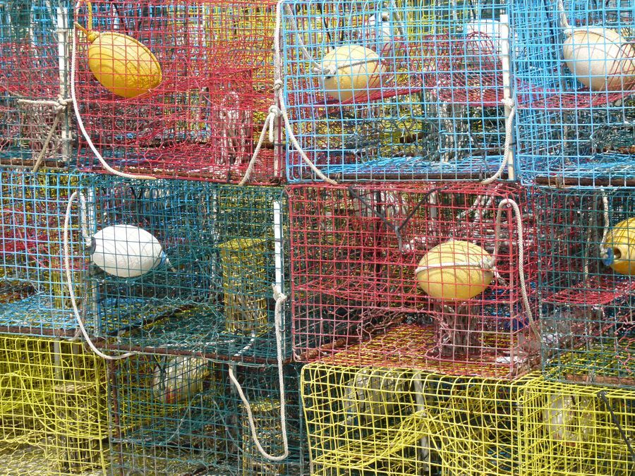 Click to See Next Image