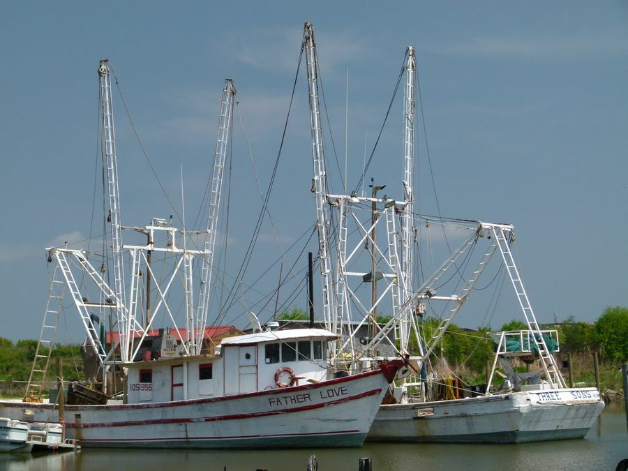 Click to See Next Image