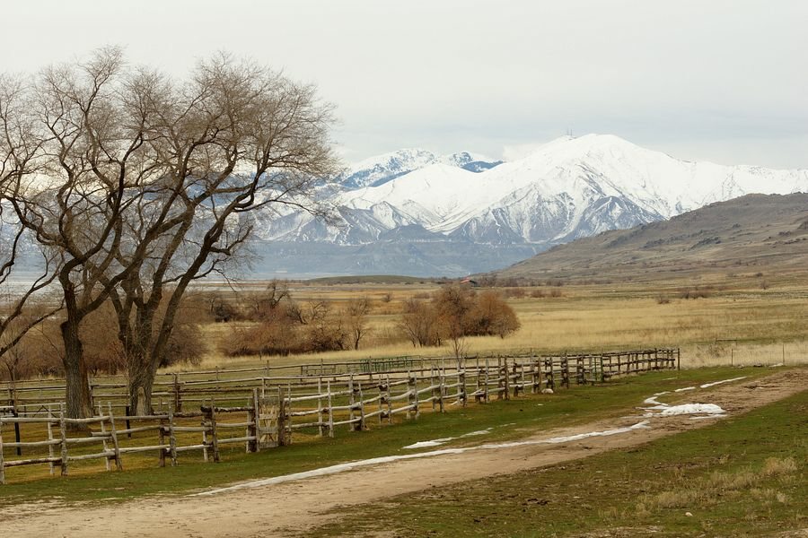 Click to See Next Image