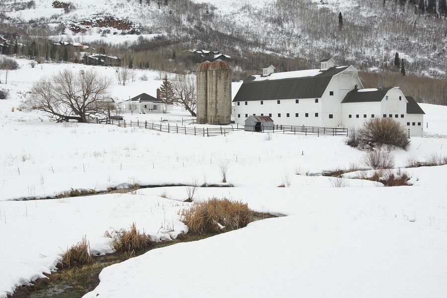 Click to See Next Image