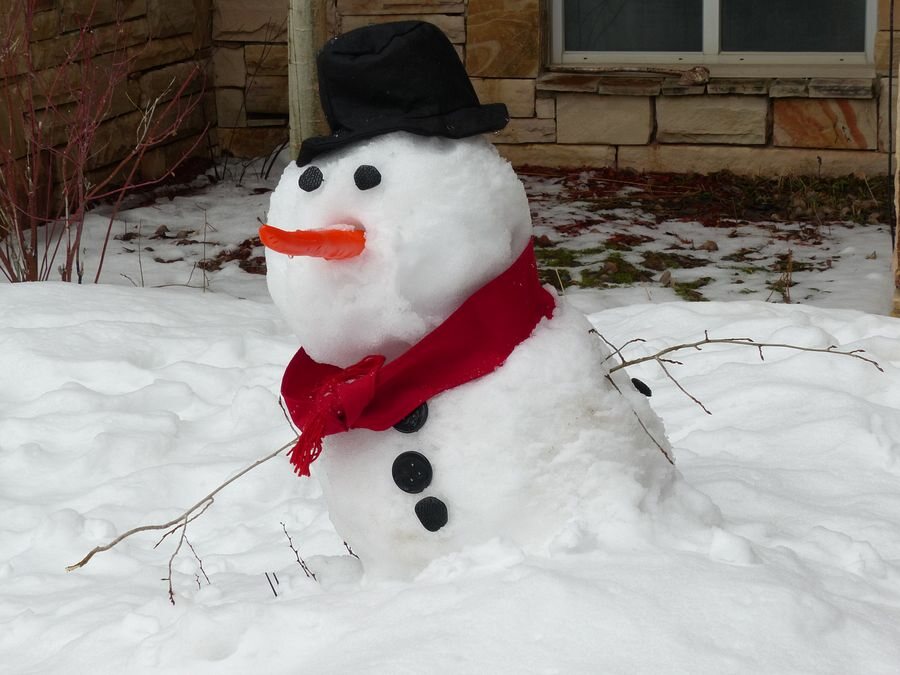 Click to See Next Image