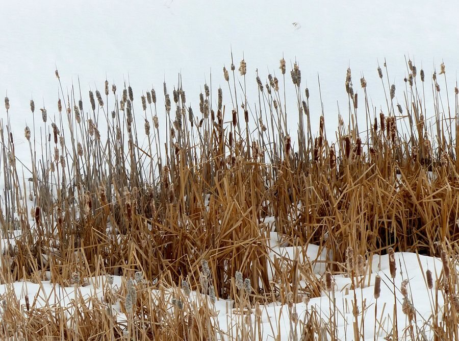 Click to See Next Image