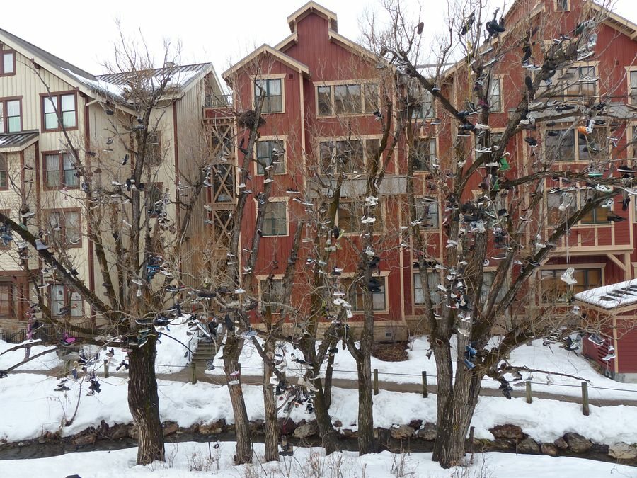 Click to See Next Image