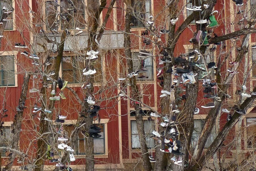 Click to See Next Image