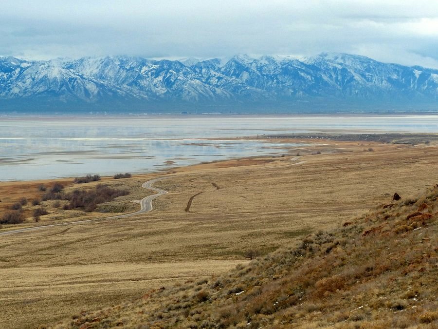 Click to See Next Image