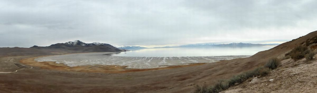 Click to See Next Image