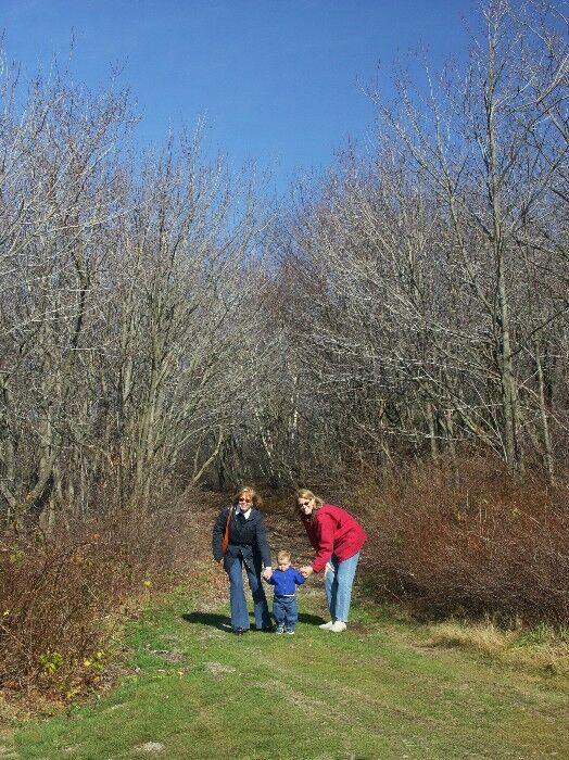 Click to See Next Image