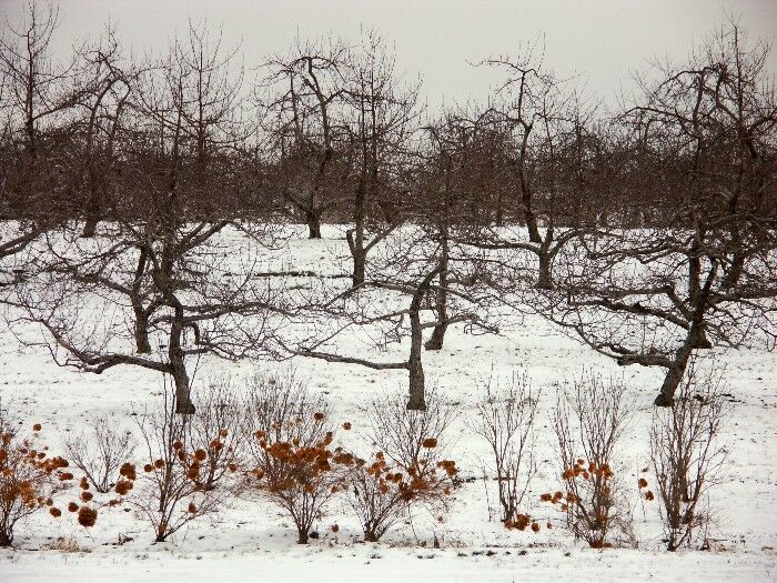 Click to See Next Image