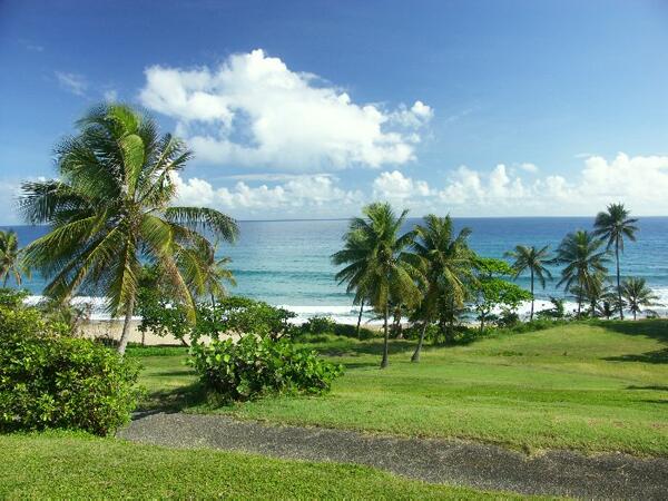 Click to See Next Image