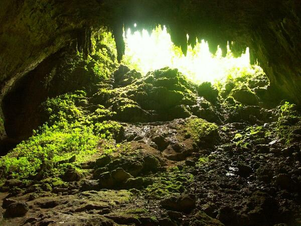 Click to See Next Image