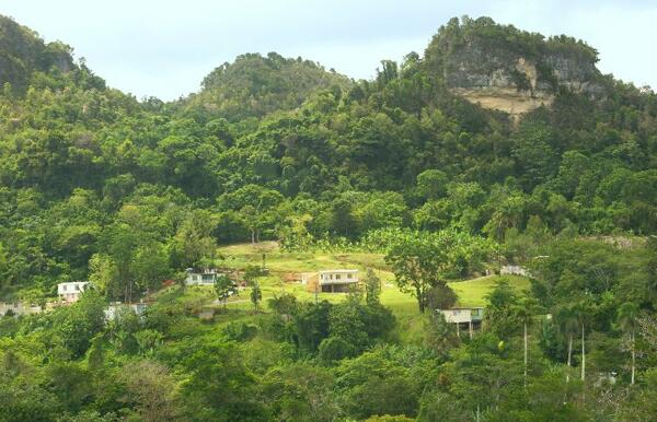 Click to See Next Image