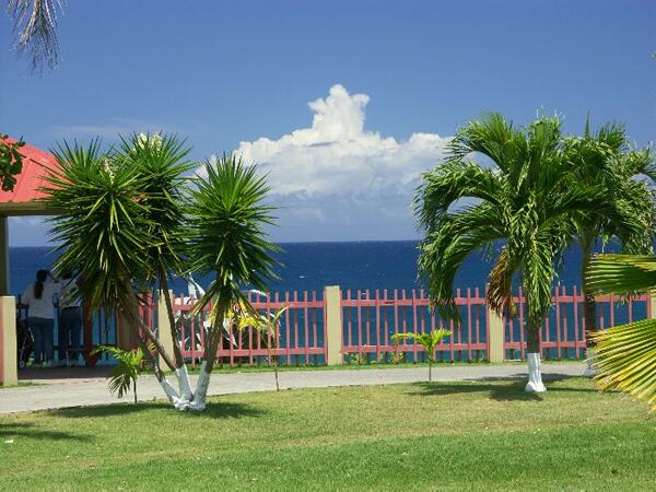 Click to See Next Image