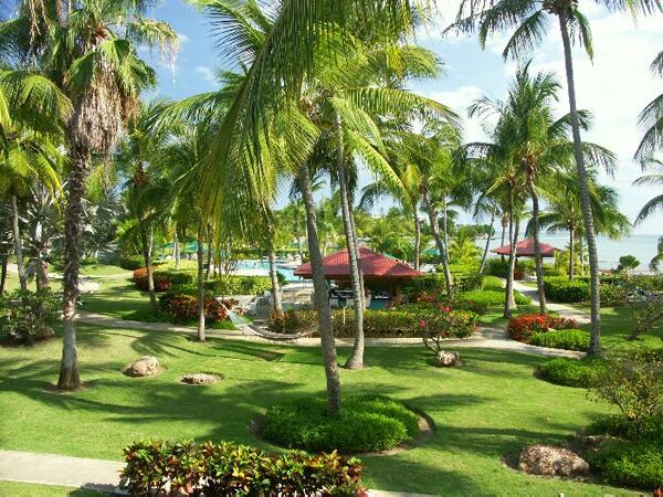 Click to See Next Image