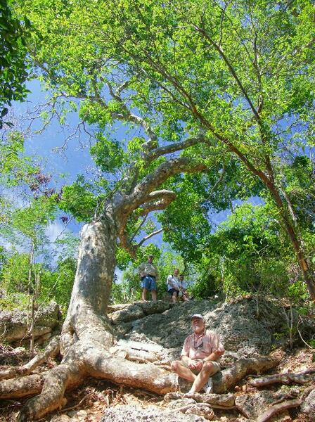 Click to See Next Image