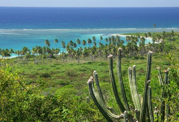 Click to See Next Image