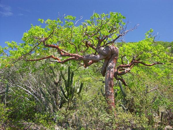 Click to See Next Image