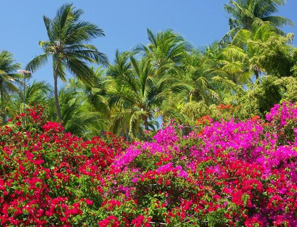 Click to See Next Image