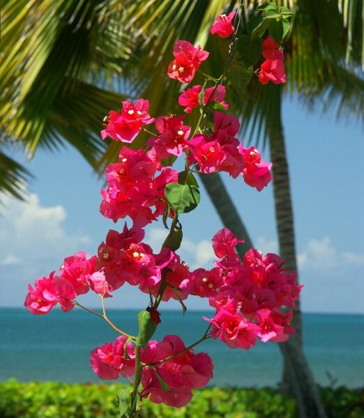 Click to See Next Image