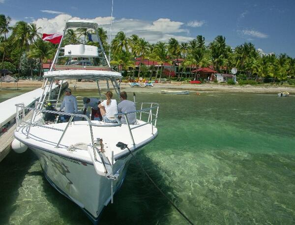 Click to See Next Image