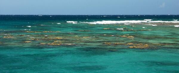 Click to See Next Image