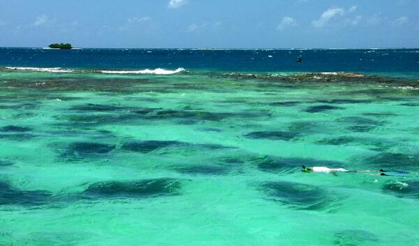 Click to See Next Image