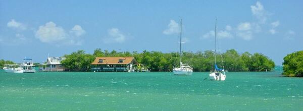 Click to See Next Image