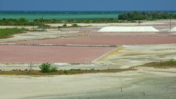 Click to See Next Image