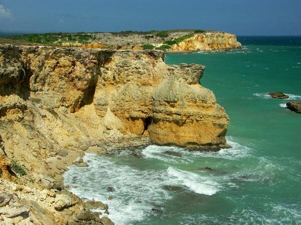 Click to See Next Image