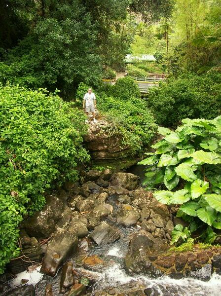 Click to See Next Image