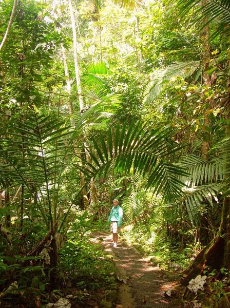 Click to See Next Image