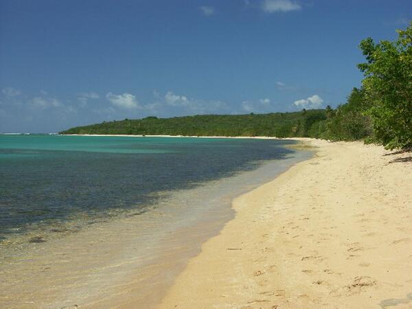 Click to See Next Image