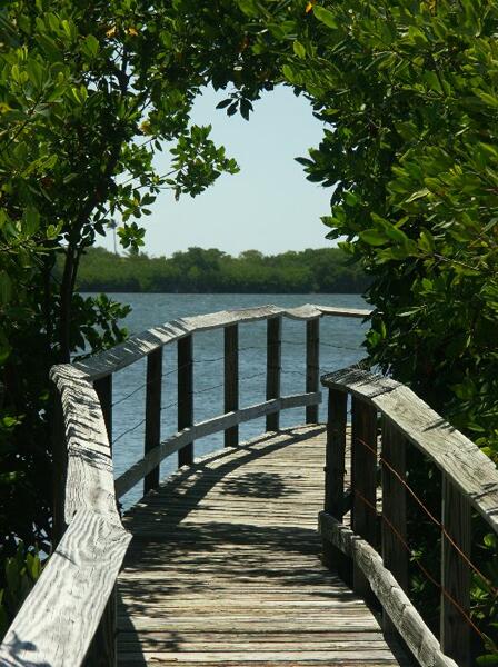 Click to See Next Image