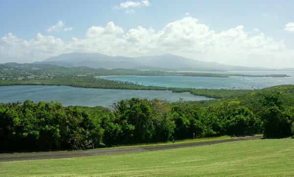 Click to See Next Image