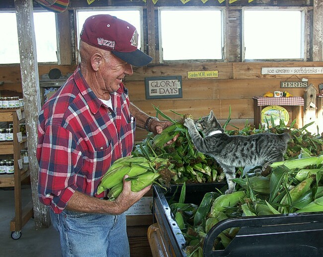 Click to See Next Image