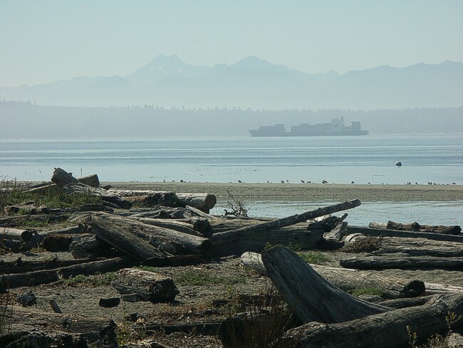 Click to See Next Image