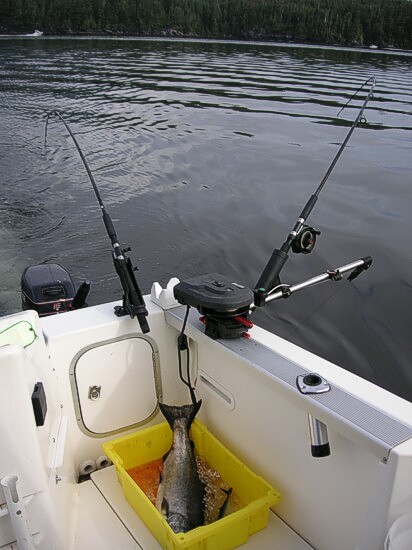 Click to See Next Image