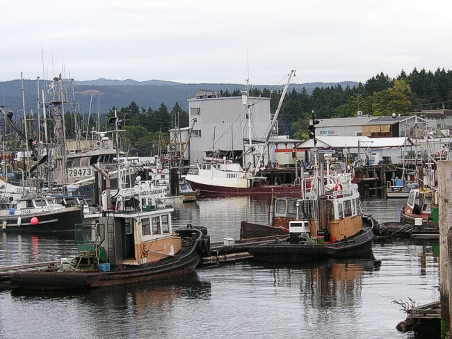 Click to See Next Image